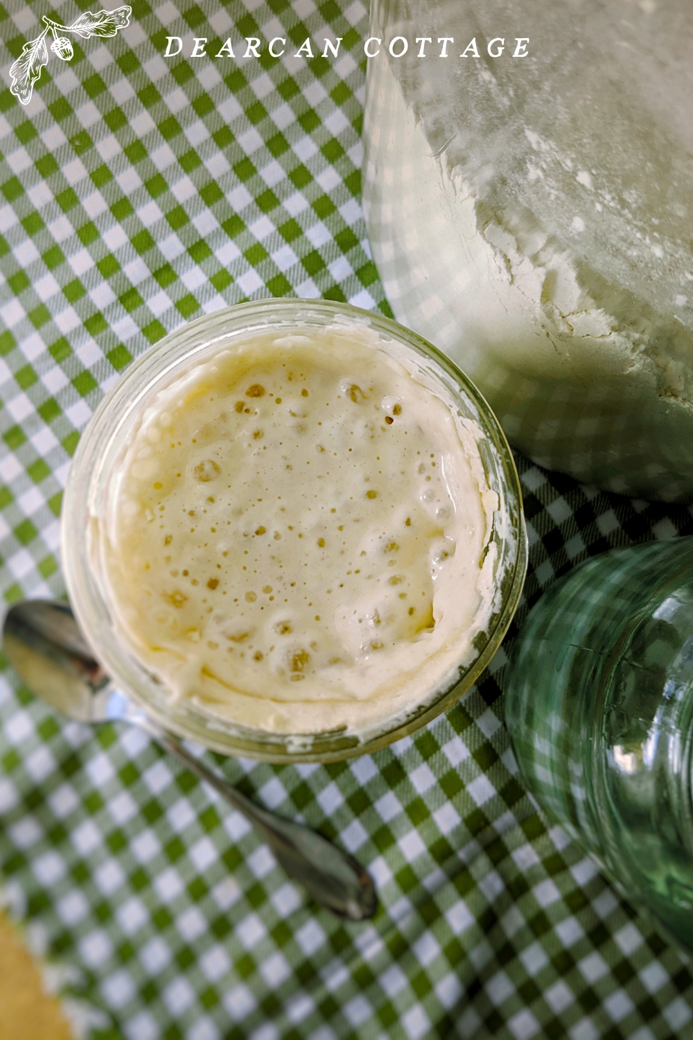 A Simple Guide To Homemade Sourdough Starter (Tips & Bread Recipe)