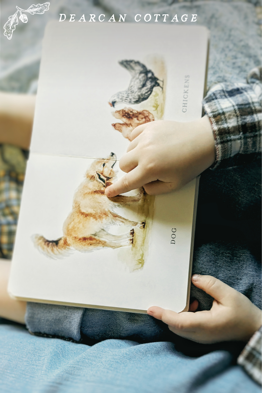 Tabitha Paige Beautiful Baby Books