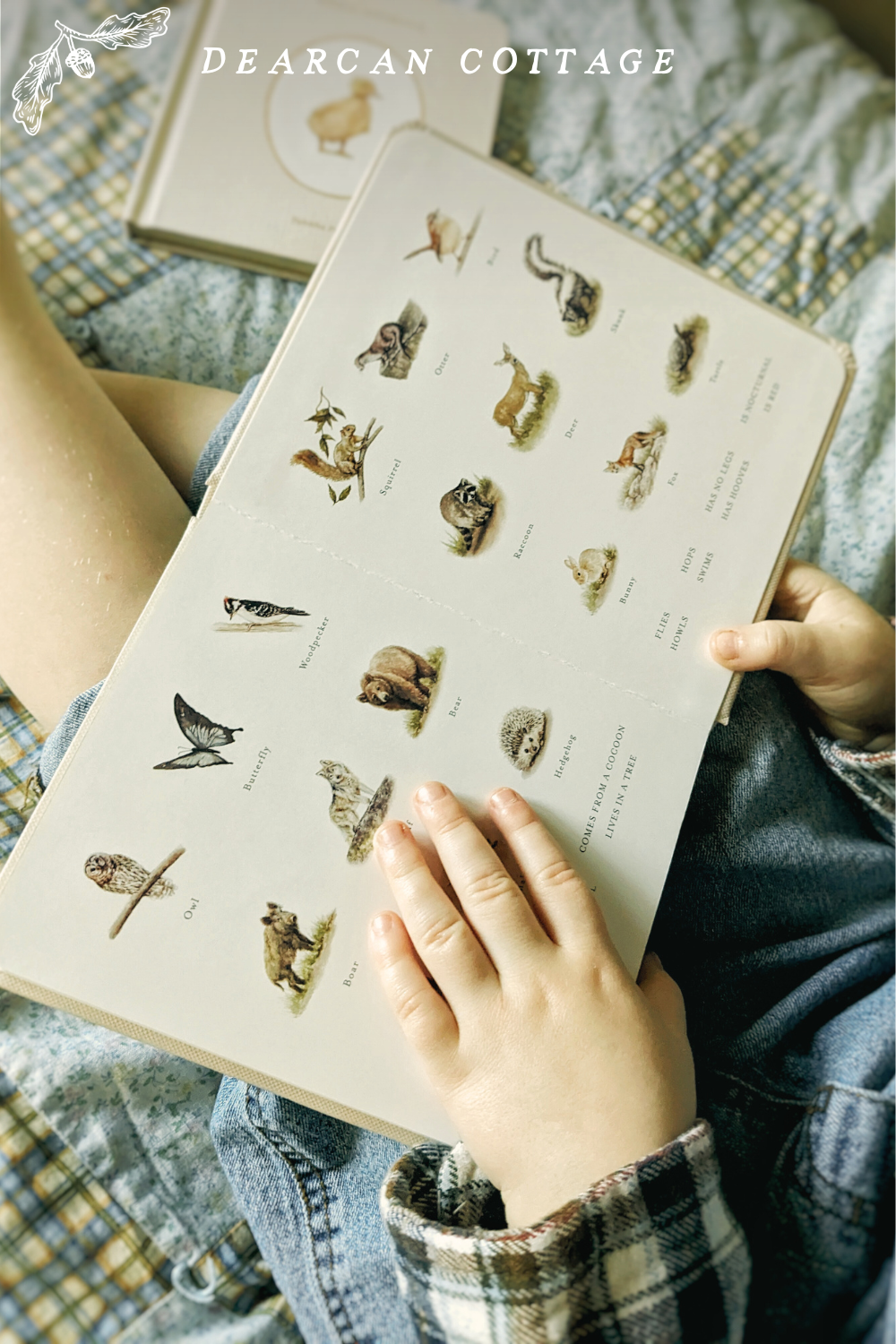 Tabitha Paige Beautiful Baby Books