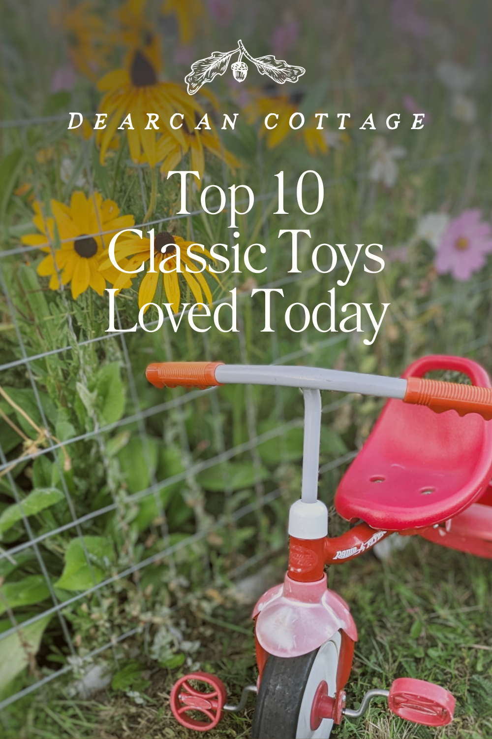 Radio Flyer Bike