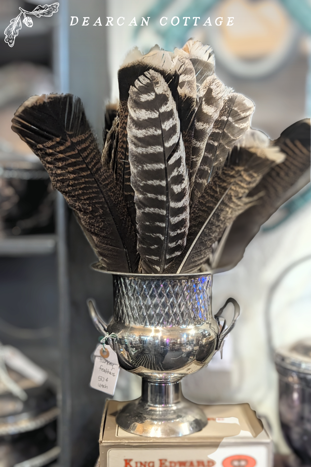 Turkey Feathers in a Silver Trophy