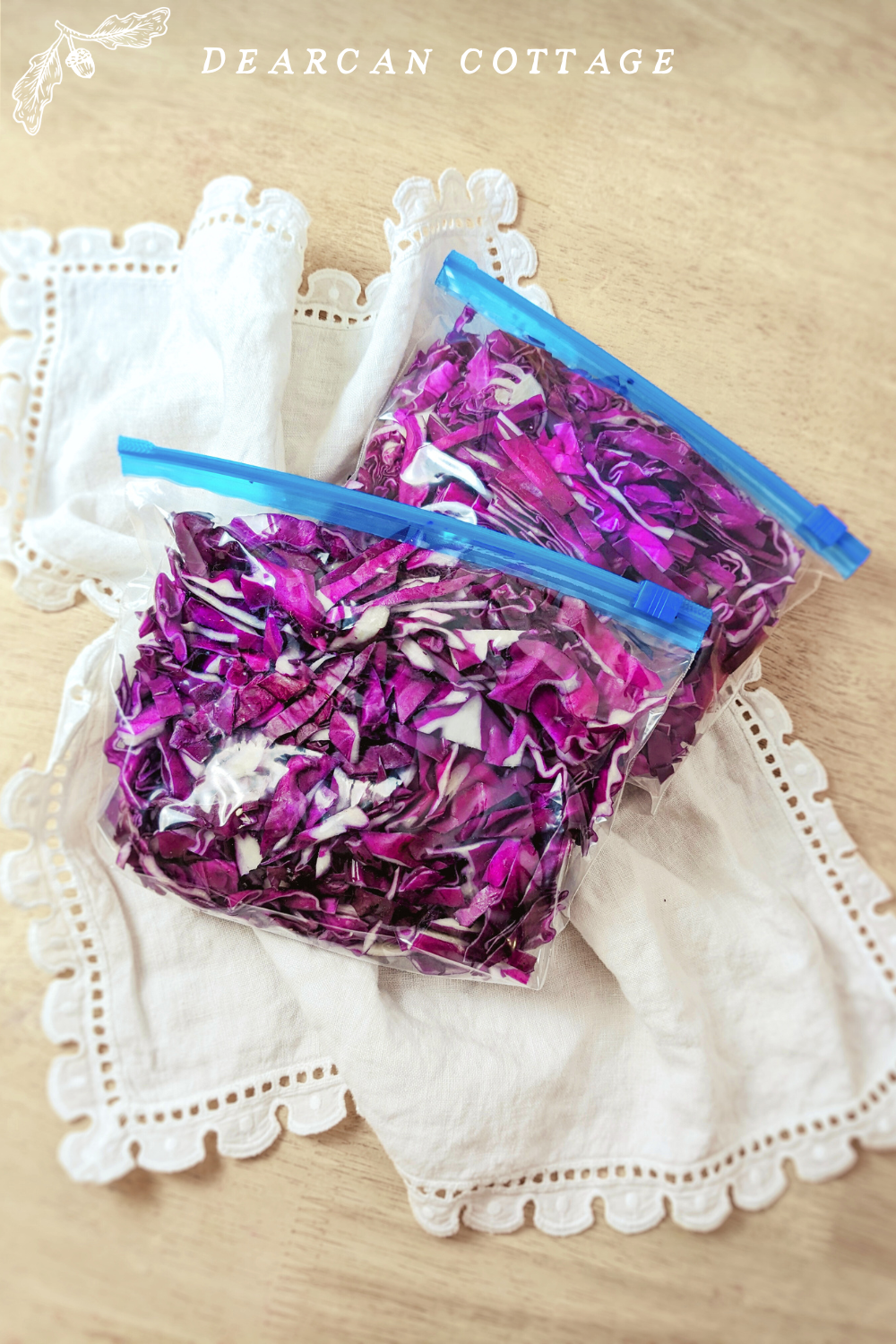 Half a head of purple red cabbage in freezer bags