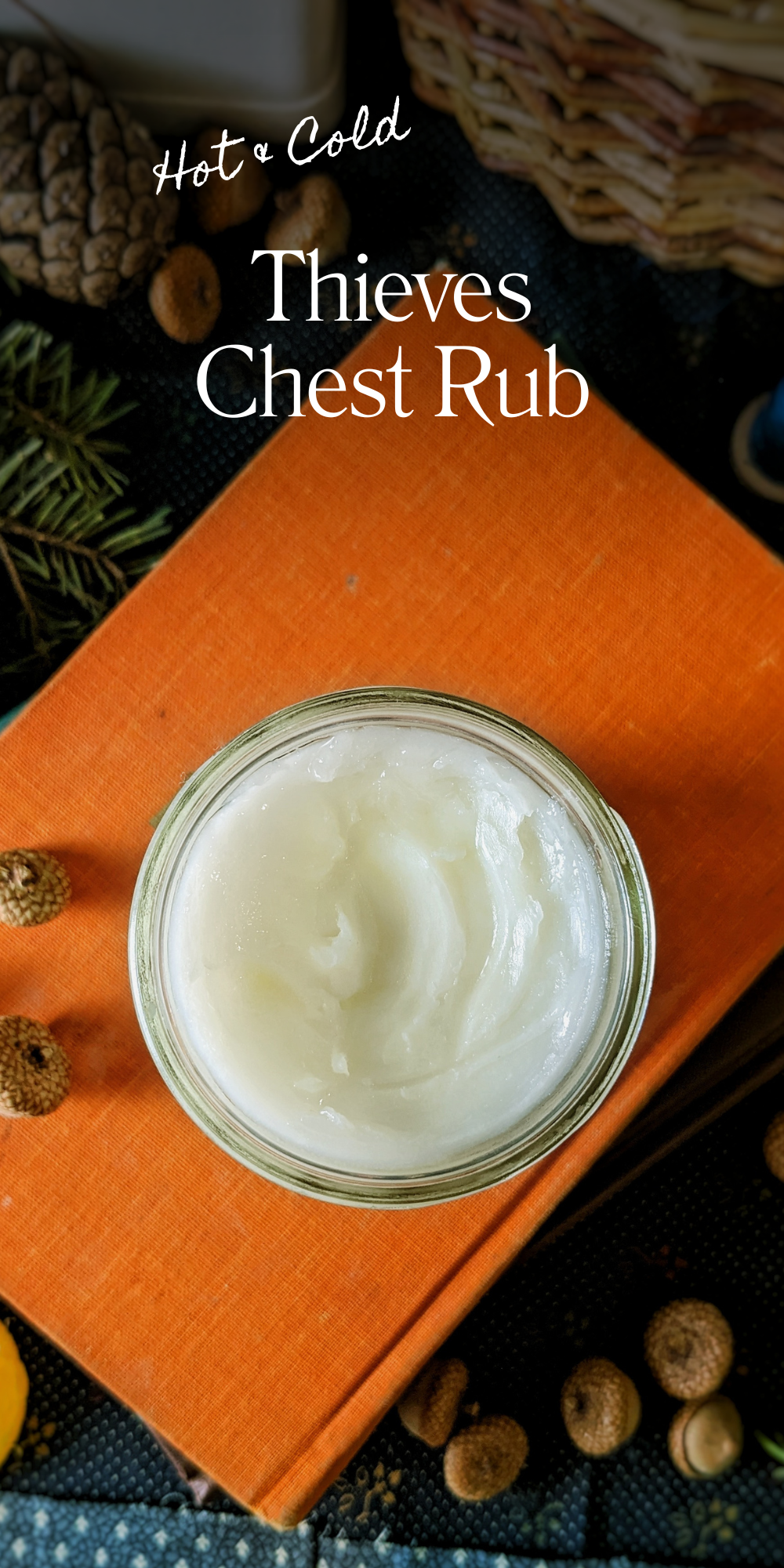 Pin This Salve Recipe