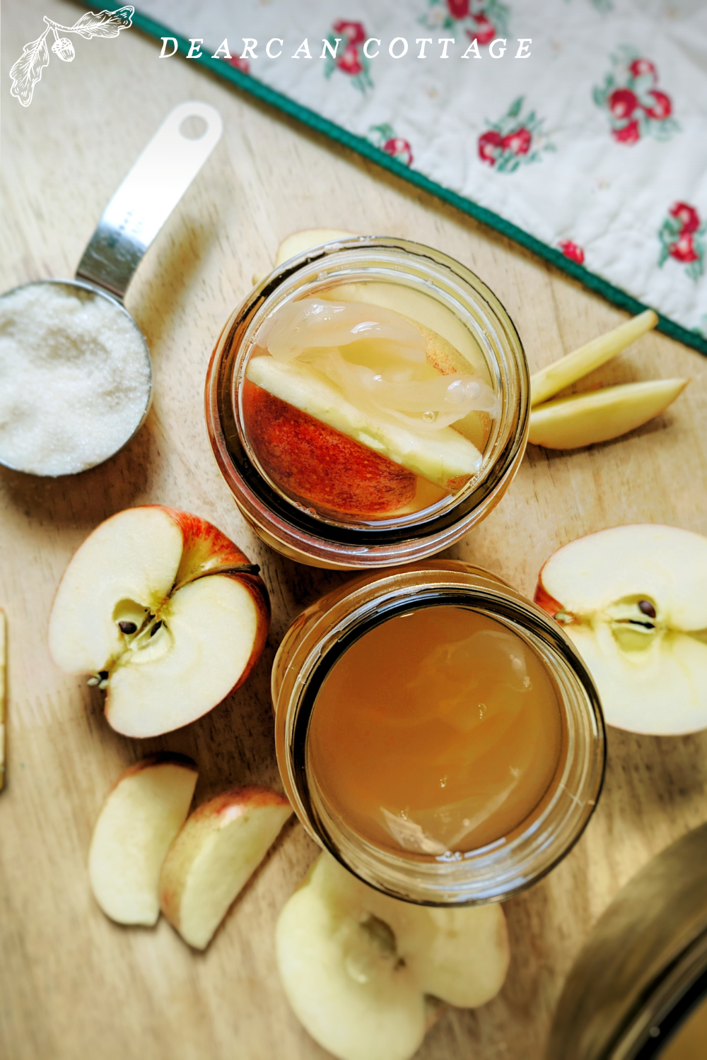 Apple Cider Vinegar Jars