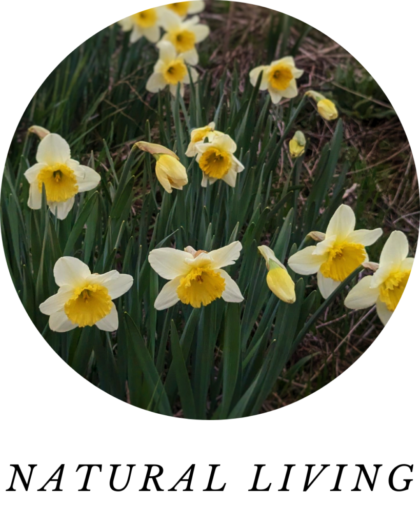 Head over to Natural Living