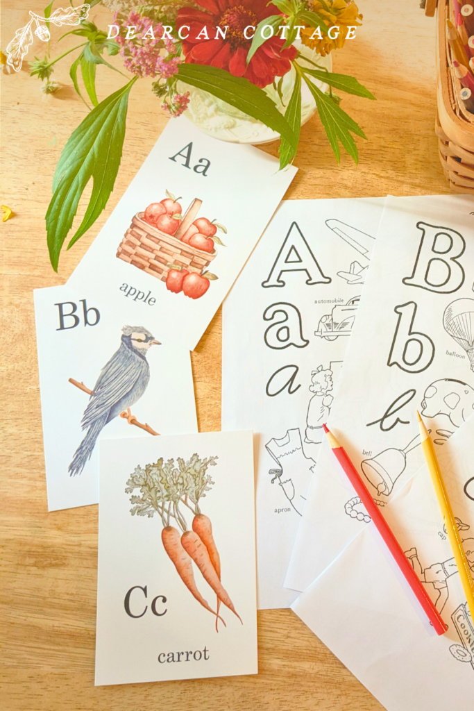 vintage cottagecore ABC letter coloring pages  poppyprintspappery
